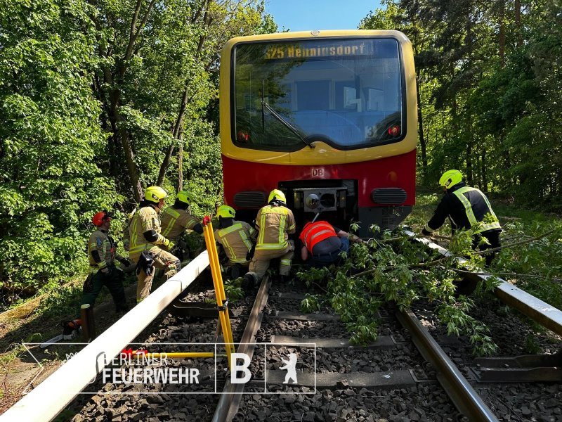 Zug kollidiert mit Baum am 01.05.2024 - Foto: Berliner Feuerwehr Zug kollidiert mit Baum am 01.05.2024 - Foto: Berliner Feuerwehr